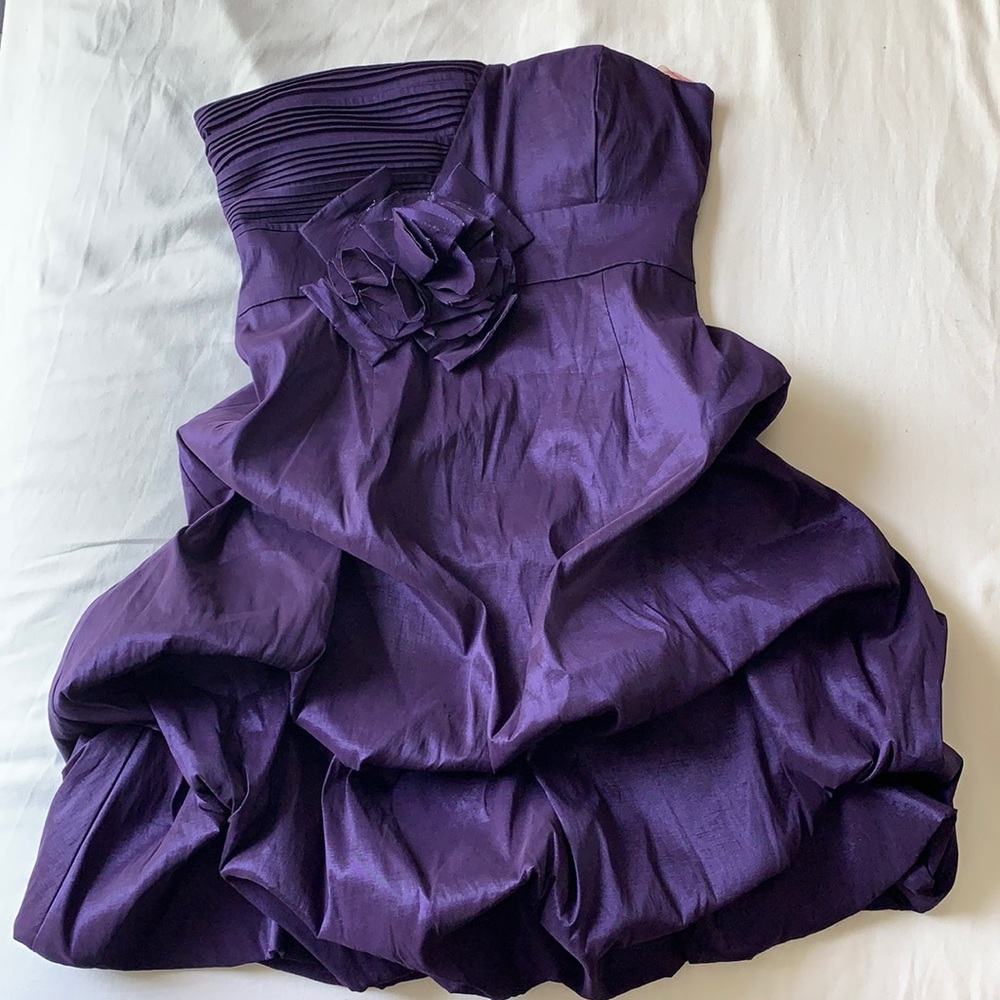 Windsor Dark Plum Mini Dress